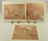 (14) National Wild Turkey Federation Prints from the 1980’s and 1990’s all in original folders