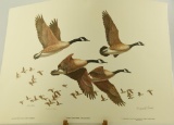 First Flight Canada Geese by Maynard Reece signed lithograph in original folder 222/950, Matted