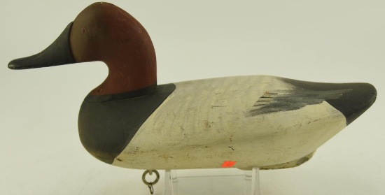 Bob McGaw Havre de Grace, MD Canvasback Decoy with dog bone weight and original paint