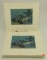 Lot #14 - (~50) unframed 1985 Chesapeake Bay Conservation Stamp Prints by Stanley Meltzoff