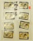 Lot #43 - (8) 1983 First of State Ohio Duck stamps (mint) stamps only