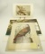 Lot #99 - (2) John J. Audubon prints of etchings “Snowy Heron, Great American Cock Male, (9) un