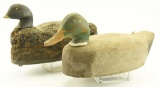 Lot #175 - Vintage Cork Body black duck Nanticoke River Dorchester County, Mallard drake decoy