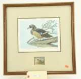 Lot #36 - Framed 1983 Maryland Ducks Unlimited Print of wood duck S/N Roger Lent 49/55 (17” x 17