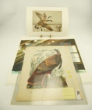 Lot #99 - (2) John J. Audubon prints of etchings “Snowy Heron, Great American Cock Male, (9) un