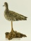 Lot #374 - Peter M. Palumbo standing yellow legs on drift wood 11” signed on underside and