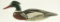 Lot #470 - Harold Hall, Dorchester County, MD American Merganser Drake circa 1975 19”