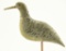 Lot #575 - Primitive carved yellow legs decoy. Show gunning wear. A51.170
