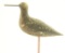 Lot #592 - New Jersey primitive Snipe decoy with iron nail bill old loss or repaint 10” B14 CPH