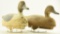 Lot #616 - Pair of Wildfowler Factory Pintail Decoys with gunning wear hen and drake