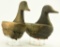 Lot #642 - Pair of Early New England Scaup Decoys in crude from one is branded on underside