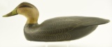Lot #406 - Ward Brothers Crisfield, MD Cedar Body Black Duck circa 1940. Excellent condition.