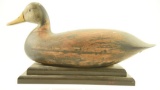 Lot #411 - Harry Shourds Tuckerton, N.J. Black Duck on stand with loss of paint to body otherwise