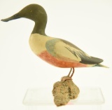 Lot #436 - Gerald Robertson, Blue Hill, Maine , Full body miniature carved Shoveler drake on