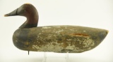 Lot #497 - Primitive Canvasback Drake decoy w/painted “R” on underside loss of paint with