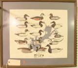 Lot #559 - 15th Annual Harve de Grace Decoy Festival May 4th 1994 framed print by Paul Shertz