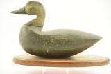 Lot #590 - Eastern Shore of Virginia Black Duck on wooden stand 14”