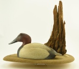 Lot #603 - 1982 Roger Everett Carved Canvasback on habitat base with cypress stump signed and