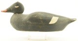Lot #633 - Gus Wilson, South Portland Maine White Winged Scoter Decoy from the Porter Hopkins