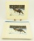 Lot #135 - (5) Wild Turkey Prints and Migratory Stamp prints: 2002 Wild Turkey Print, 1985 First