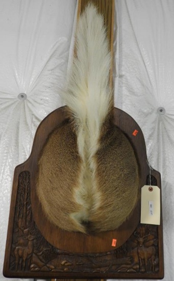 Lot #386 - White Tail Deer Rear mount
