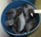 Approximately (26) assorted Greenhead Gear Coot