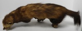 Mink Mount