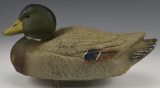 Early Paper Mache Mallard drake decoy all