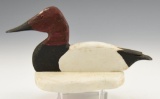 Bill Spriggs, Reedville, VA small Canvasback