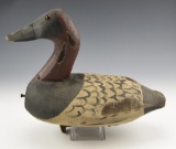 Contemporary High Head Canvasback Drake decoy