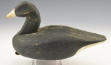 Carved Coot Decoy signed illegibly on underside
