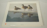 Trio of Canadas