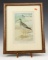 “The Greater Yellowlegs” Framed print of plate