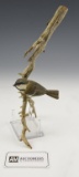 F.J. Delir 1995 figural carved song bird on
