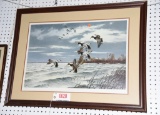 Framed print of Redheads over marsh S/N David