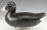 Double Headed Coot Decoy unsigned