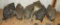 (6) Flambeau Pintail hen decoys