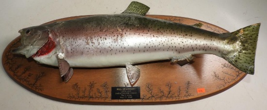 Rainbow Trout Mount on Wall Plaque 7 lbs 9 Oz