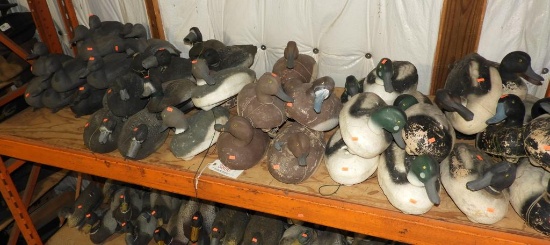 Approximately (44) Hunting Decoys to include: 20 Styrofoam Goldeneye and Bluebill decoys