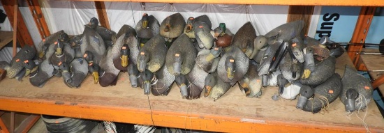 Approximately (45) Carry Lite plastic decoys to include: mallards, black ducks, and teal