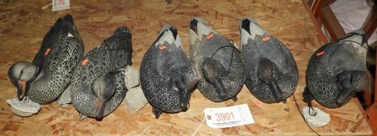 (6) Greenhead Gear Gadwall decoys to include (4) drakes and (2) hens