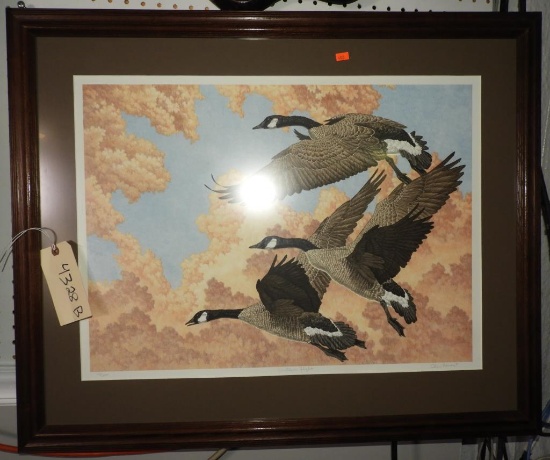 “Southern Flight” framed Canada Goose print by Chris Forrent 43/300 28”x 34