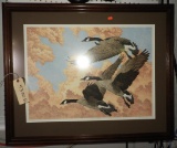 “Southern Flight” framed Canada Goose print by Chris Forrent 43/300 28”x 34