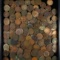 Lot of 250+ cull U.S. Indian cents