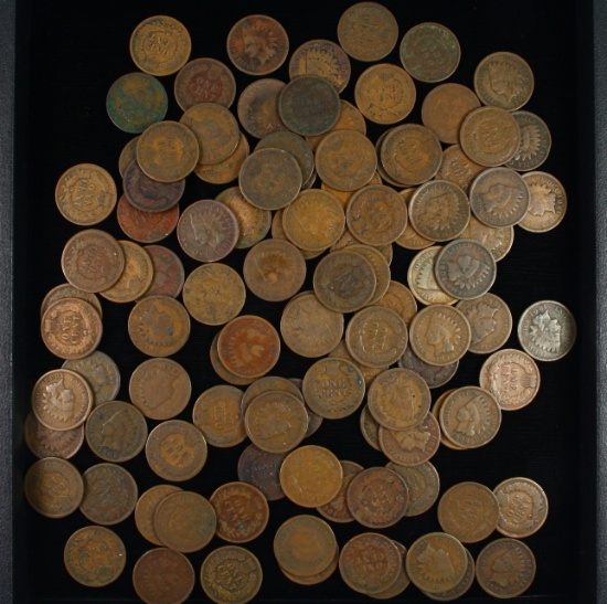 Lot of 100+ average circulated U.S. Indian cents