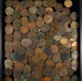 Lot of 250+ cull U.S. Indian cents