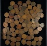 Lot of 100+ average circulated U.S. Indian cents