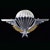 Circa 1950s France parachutist wings badge