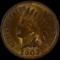 1902 U.S. Indian head cent