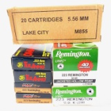 Lot of 160 rounds of boxed .223 Rem ammo